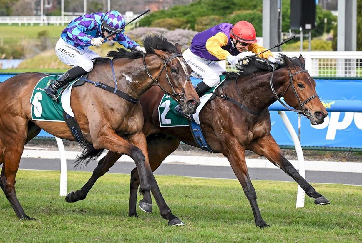 O'BRIEN PRAISES SHINN